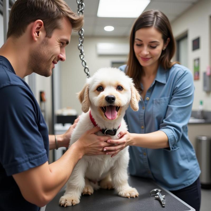 Dog Grooming Services in Wheaton, IL