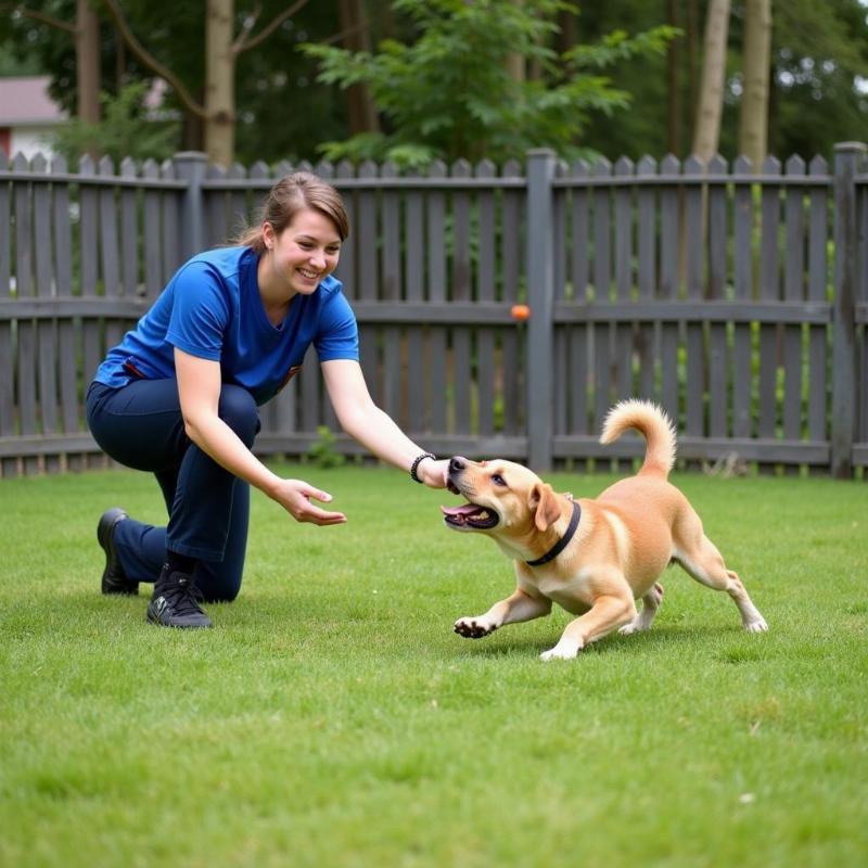 Dog Kennels La Crosse WI: Finding the Perfect Fit for Your Furry Friend