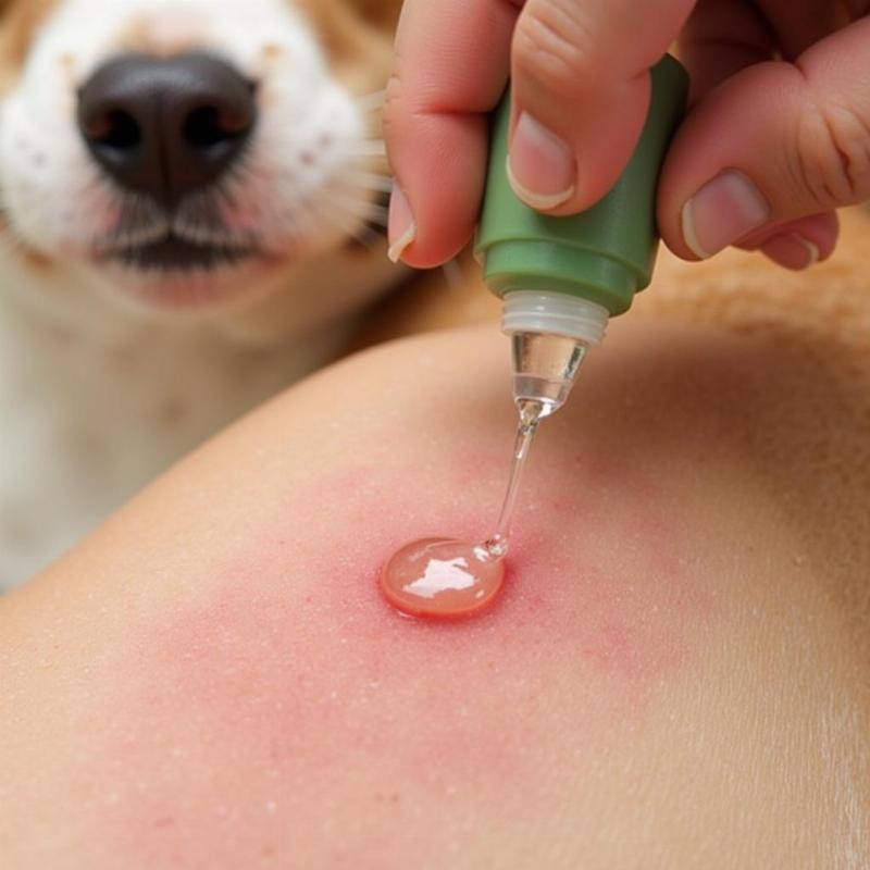 Aloe Vera Gel for Dogs Pets at Home: A Soothing Solution?