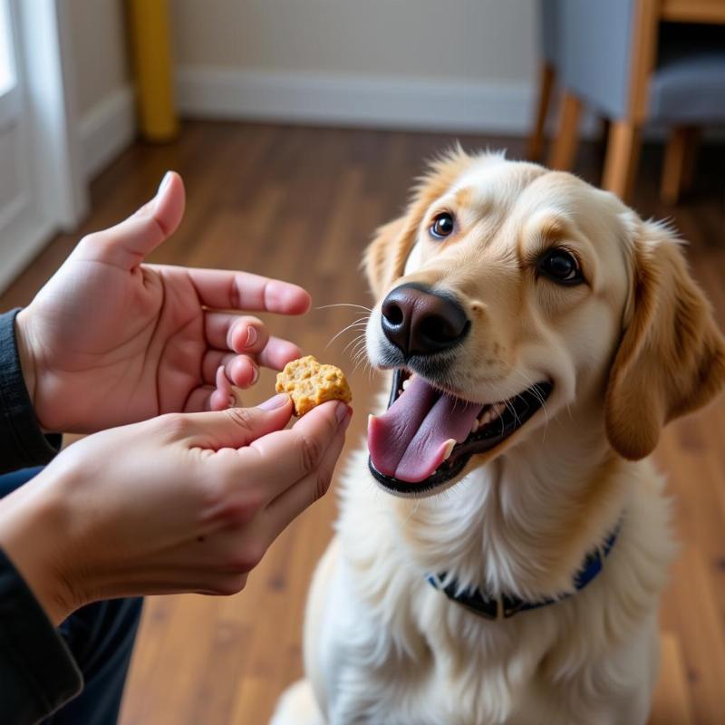 Dog trainer teaching the "speak" command