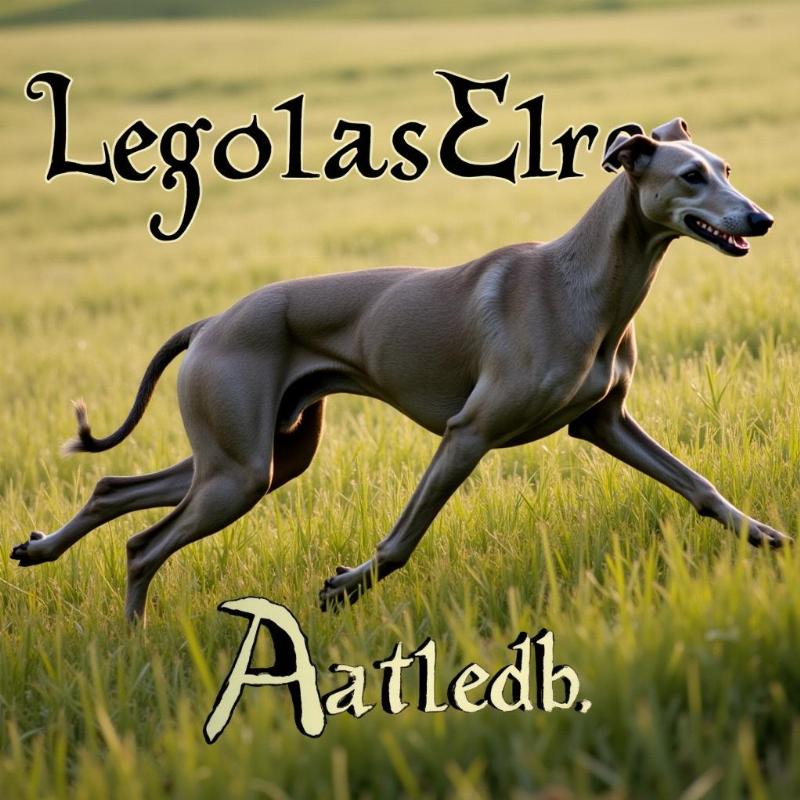 Elegant Elvish Dog Names for Greyhounds