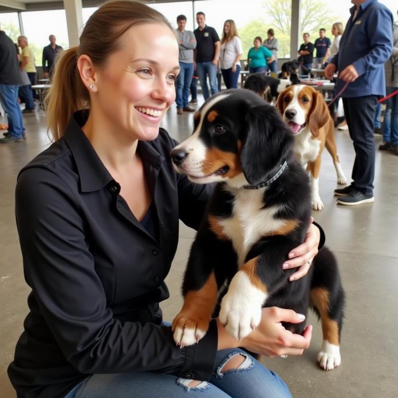 Finding Bernese Mountain Dog Puppies in Michigan