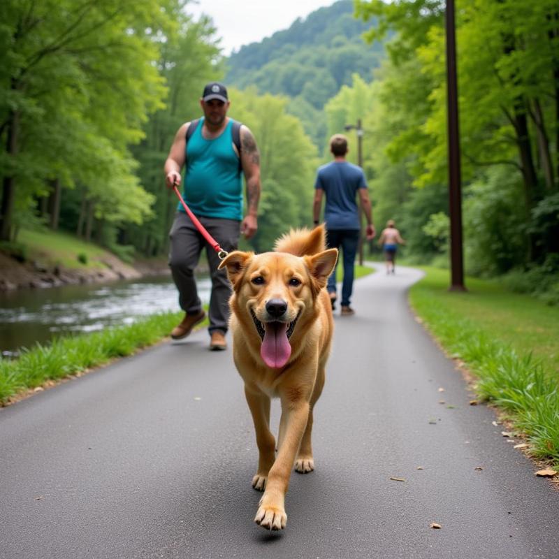 Dog walking on the Gatlinburg Trail