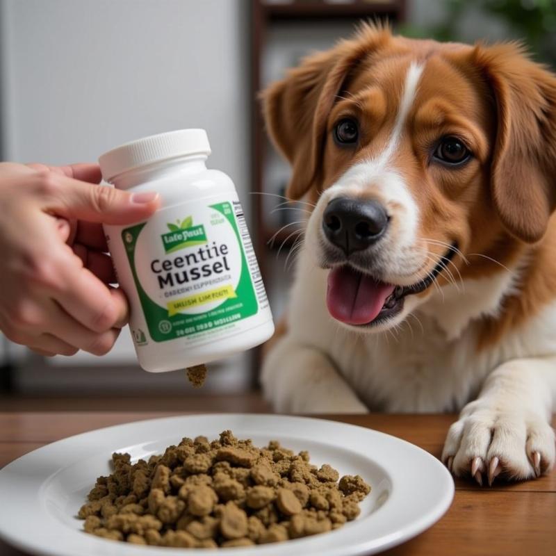 New Zealand Green Mussels for Dogs: A Superfood for Joint Health and More