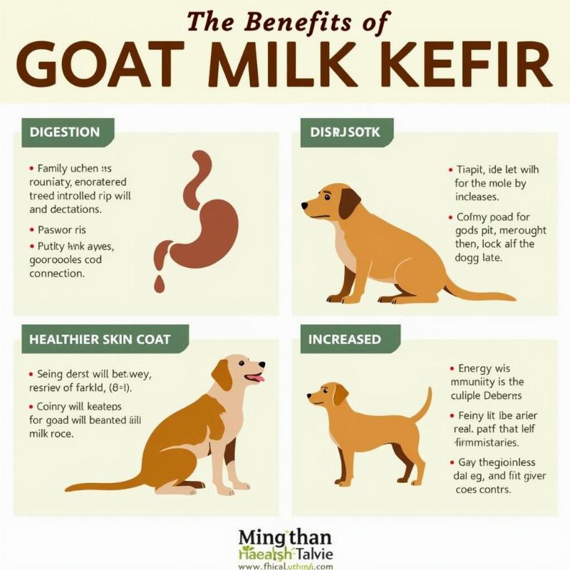 Goats Milk Kefir for Dogs: A Gut-Friendly Boost