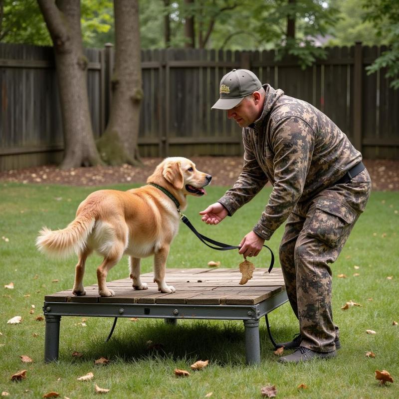 Training a dog to use a duck hunting platform