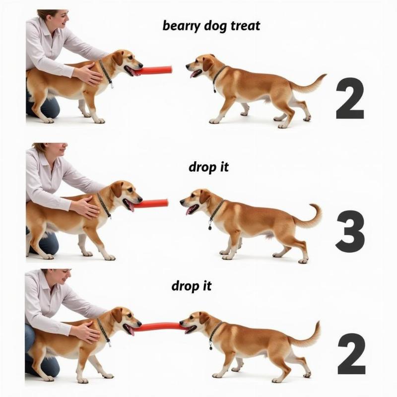 Training a dog to release a toy