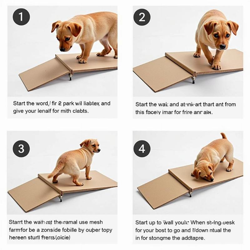 Guide for small dogs using a ramp