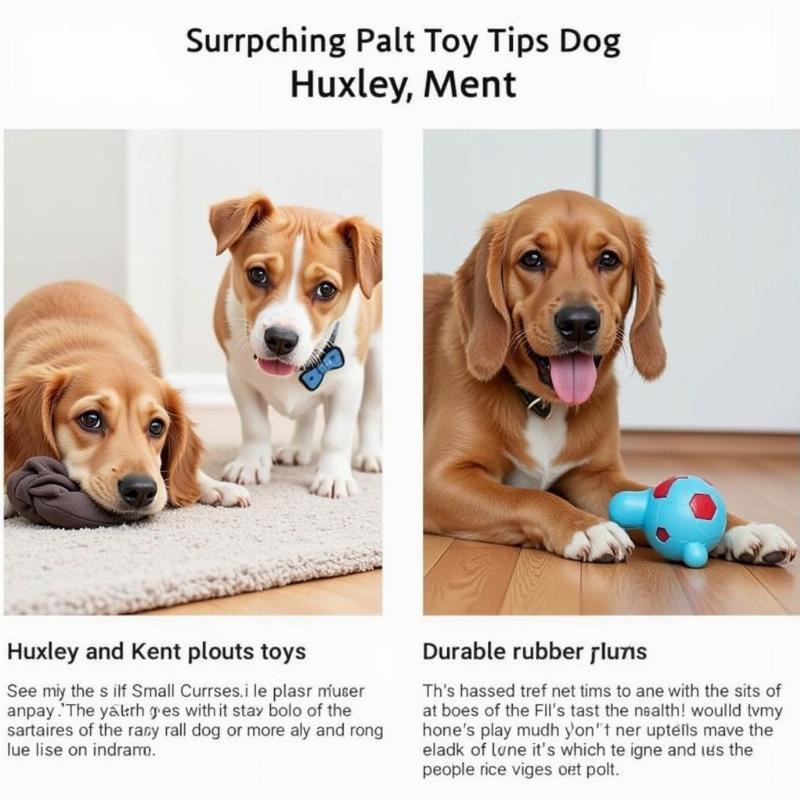 Huxley and Kent Toys for Different Breeds