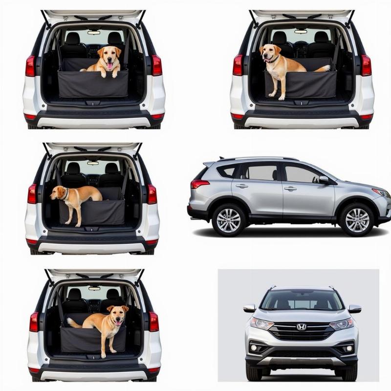 Installing a dog car seat in various car models