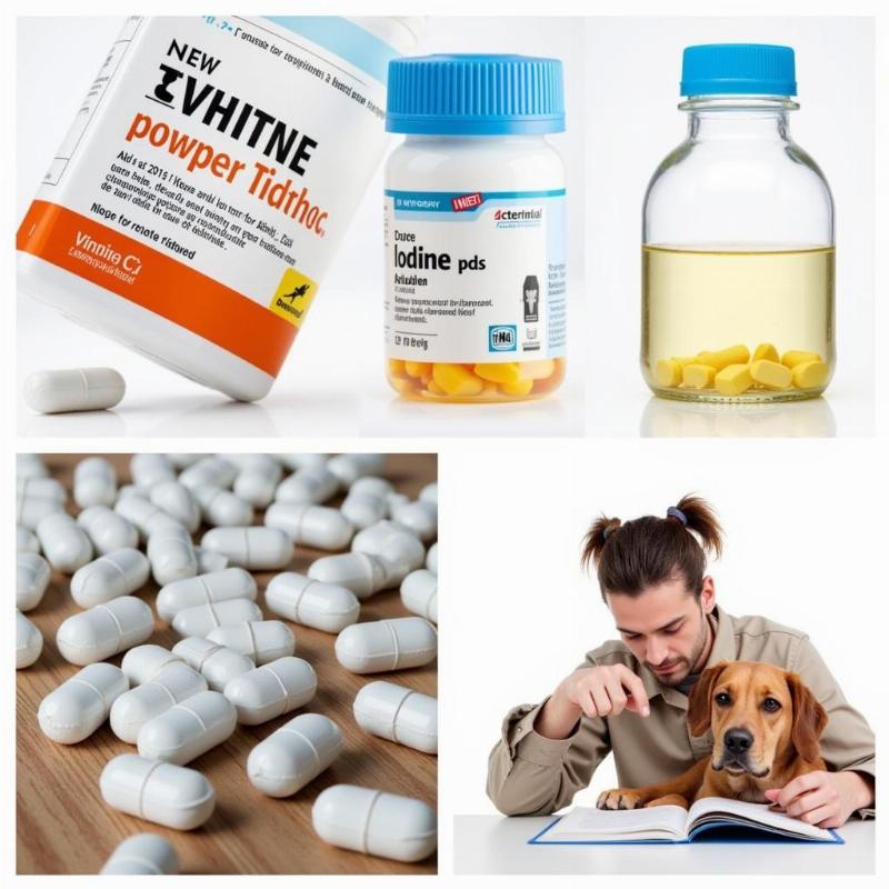 Risks of Iodine Supplements for Dogs