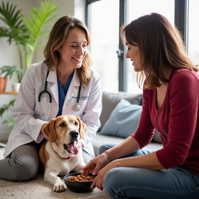 Veterinarian Consulting about Kirkland Salmon & Sweet Potato Dog Food