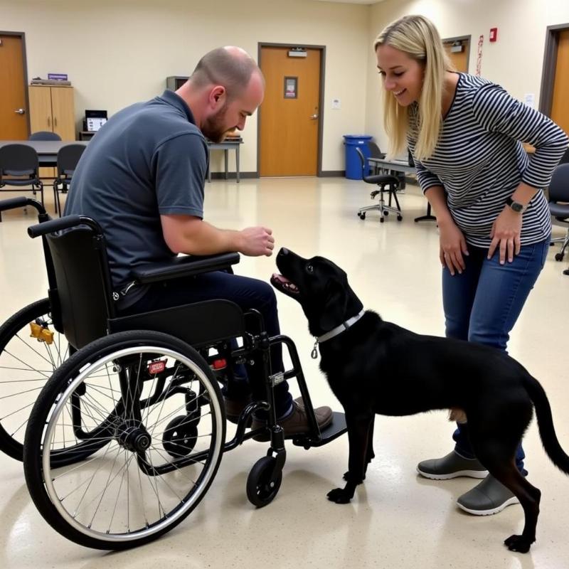 Legitimate Service Dog Training