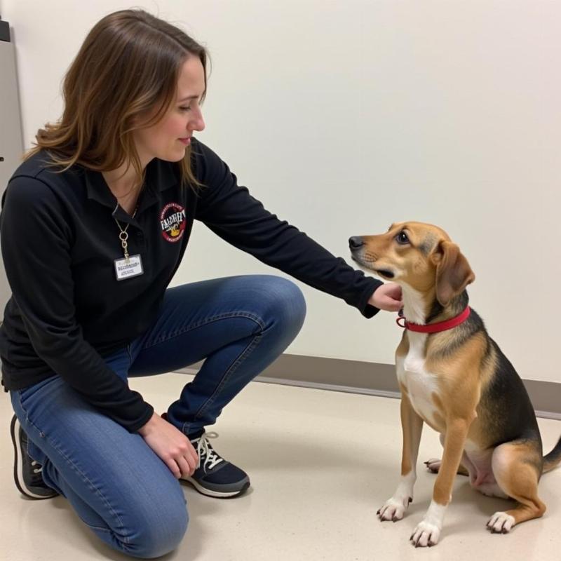 Meeting the Dogs at the Wicomico Humane Society