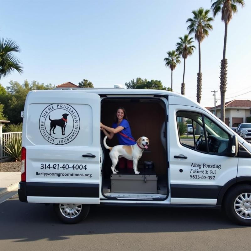 Mobile Dog Grooming Convenience in Long Beach