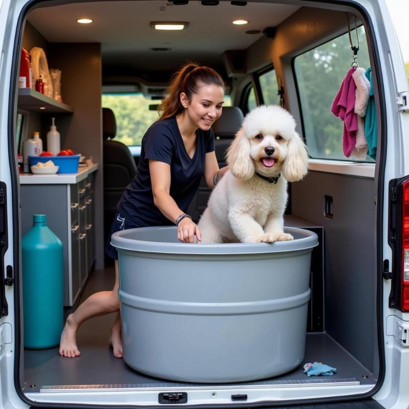 Inside a Mobile Grooming Session in Rio Rancho