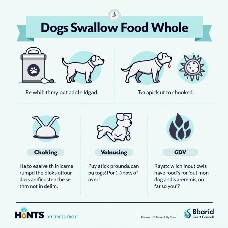 Risks of fast eating in dogs