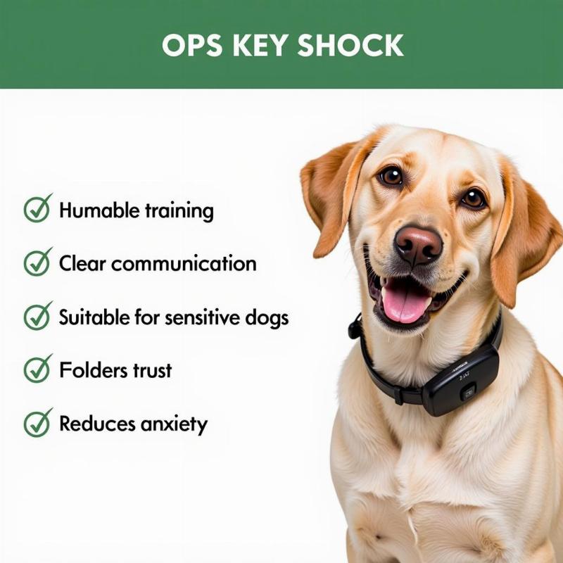 Benefits of Using a No Shock Vibrating Dog Collar