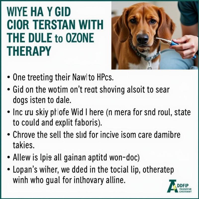 What is Ozone Therapy for Dogs?