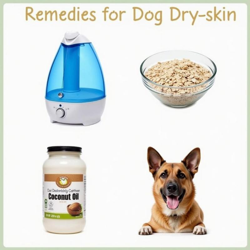 Home Remedies for Dog Dry Skin