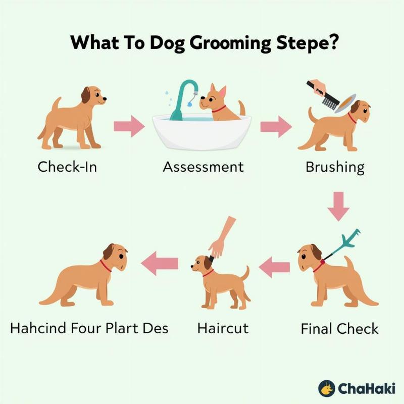 Dog Grooming Process in Oak Park