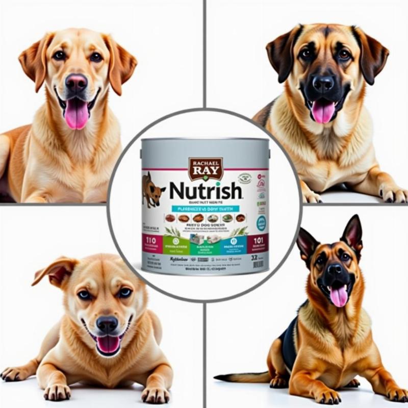 Rachael Ray Dog Food for Various Breeds