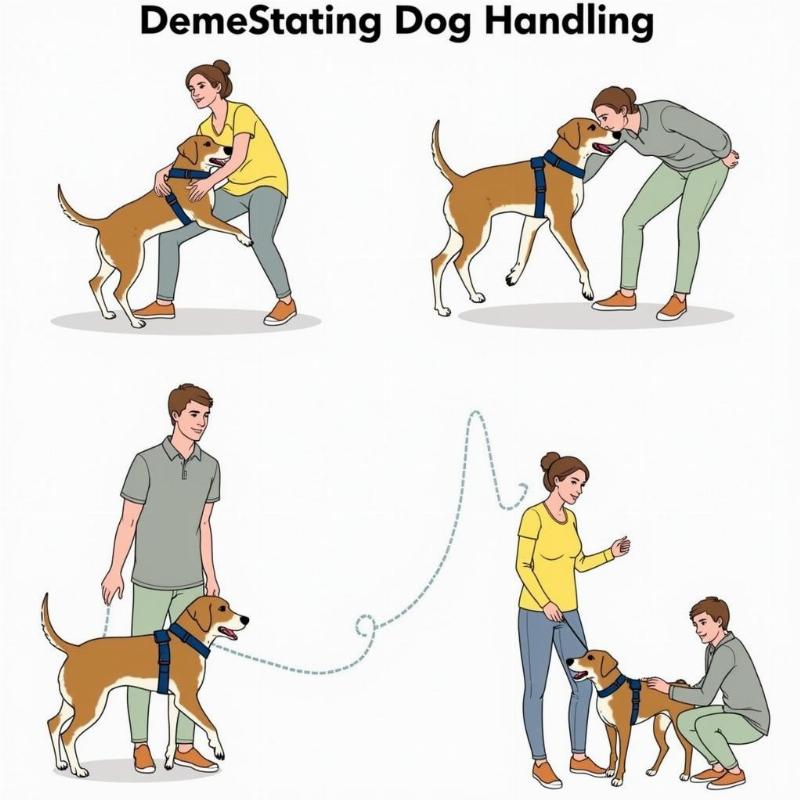 Safe Dog Handling Techniques