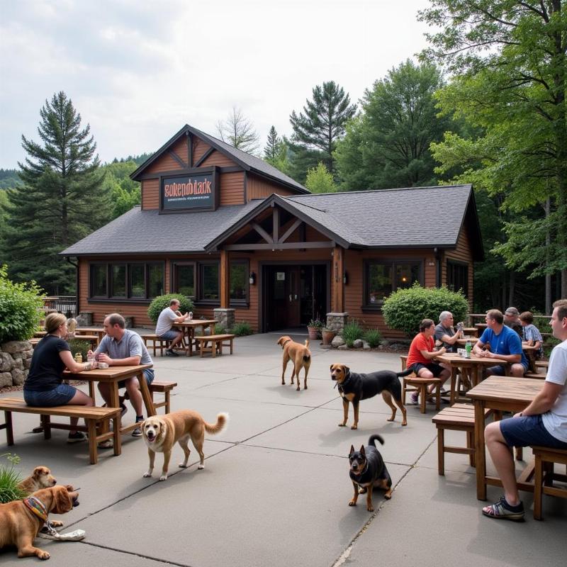 Dog enjoying the outdoor space at a dog-friendly brewery in Saranac Lake