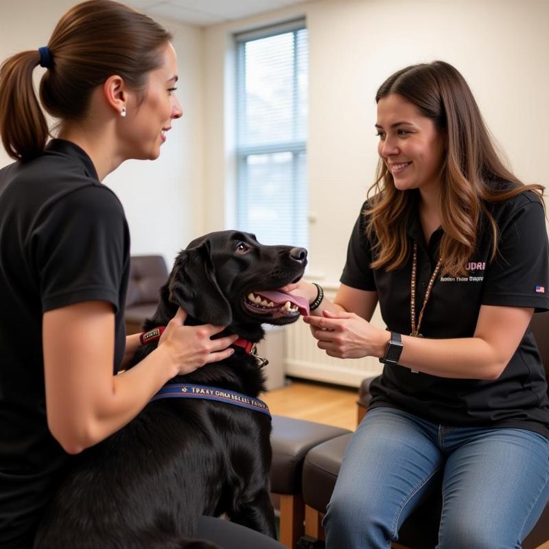 Consulting with a Service Dog Trainer in Wichita, KS