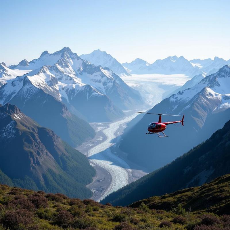 Helicopter tour over Skagway Alaska