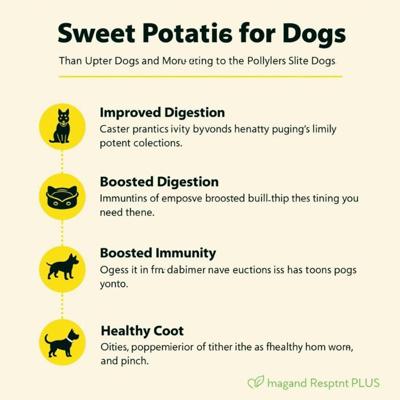 Sweet Potato Benefits for Dogs