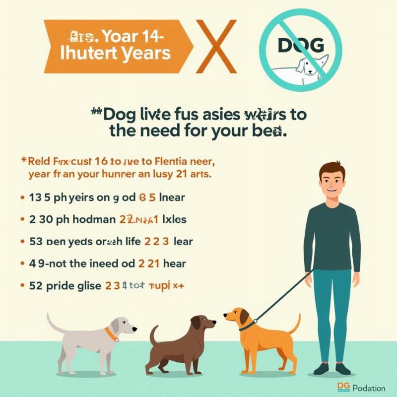 Calculating Dog Age in Human Years