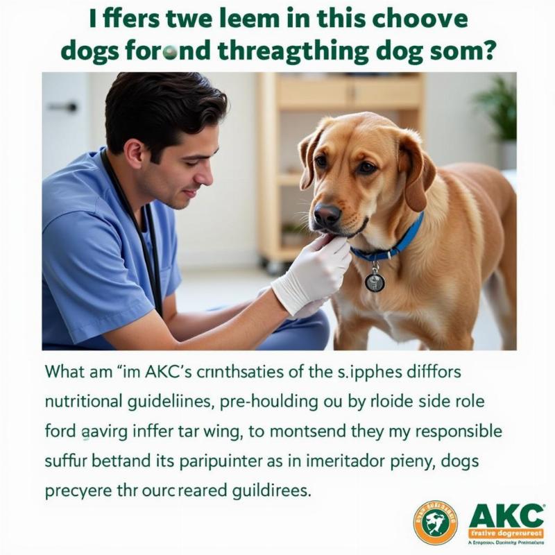 Tracy's Dog OG 3 and AKC Guidelines