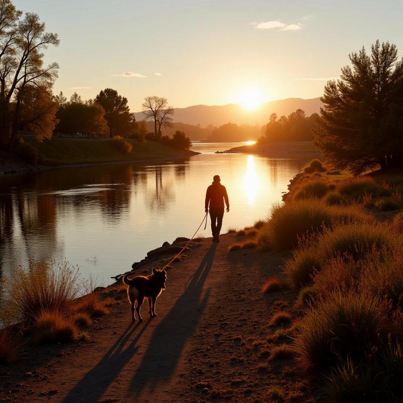 Walking a dog along the Truckee River