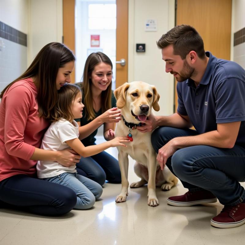 Interacting with a dog at a rescue center