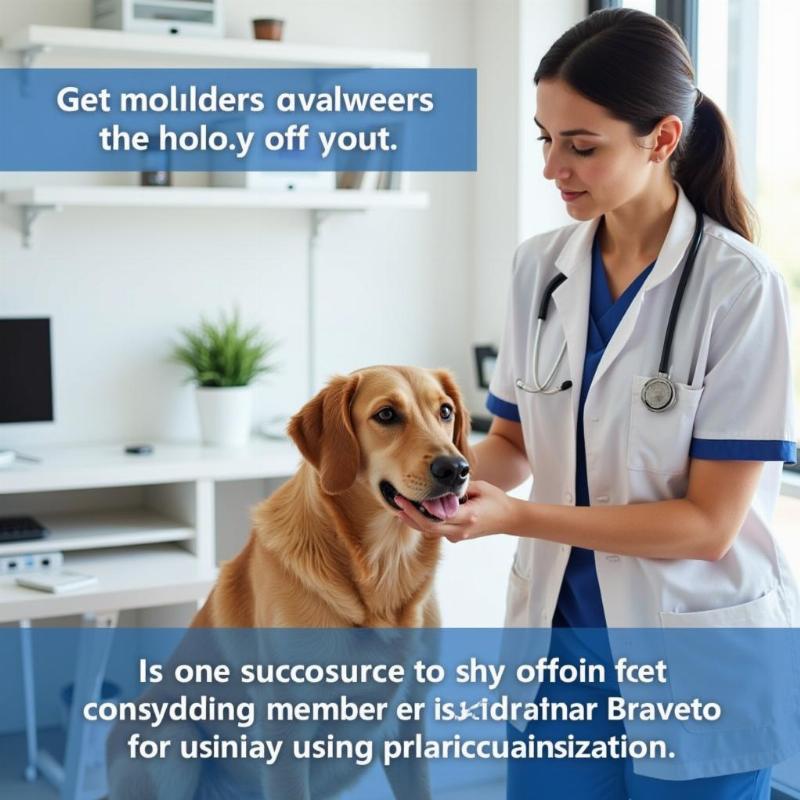 Veterinarian Examining a Dog