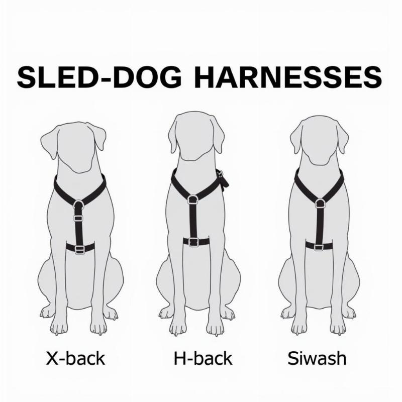 Types of Sled Dog Harnesses