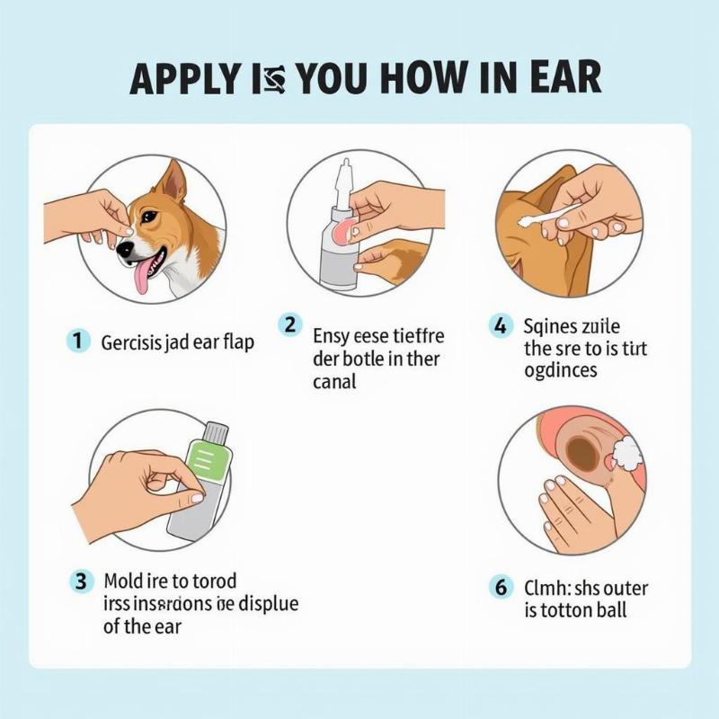 Applying Chlorhexidine Ear Flush