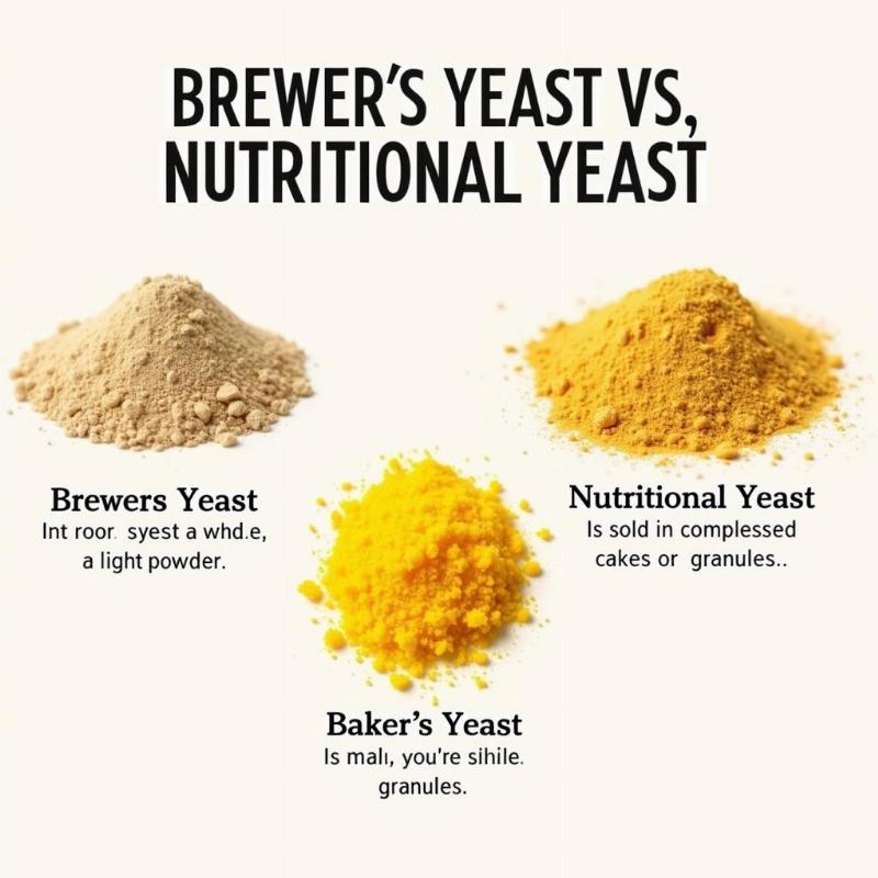 Brewer's Yeast vs. Other Yeasts