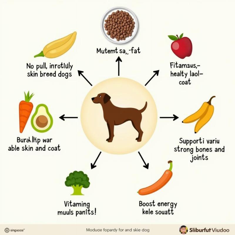 Essential Nutrients for Small Breed Dogs