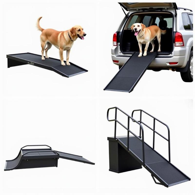 Different types of dog ramps for trucks