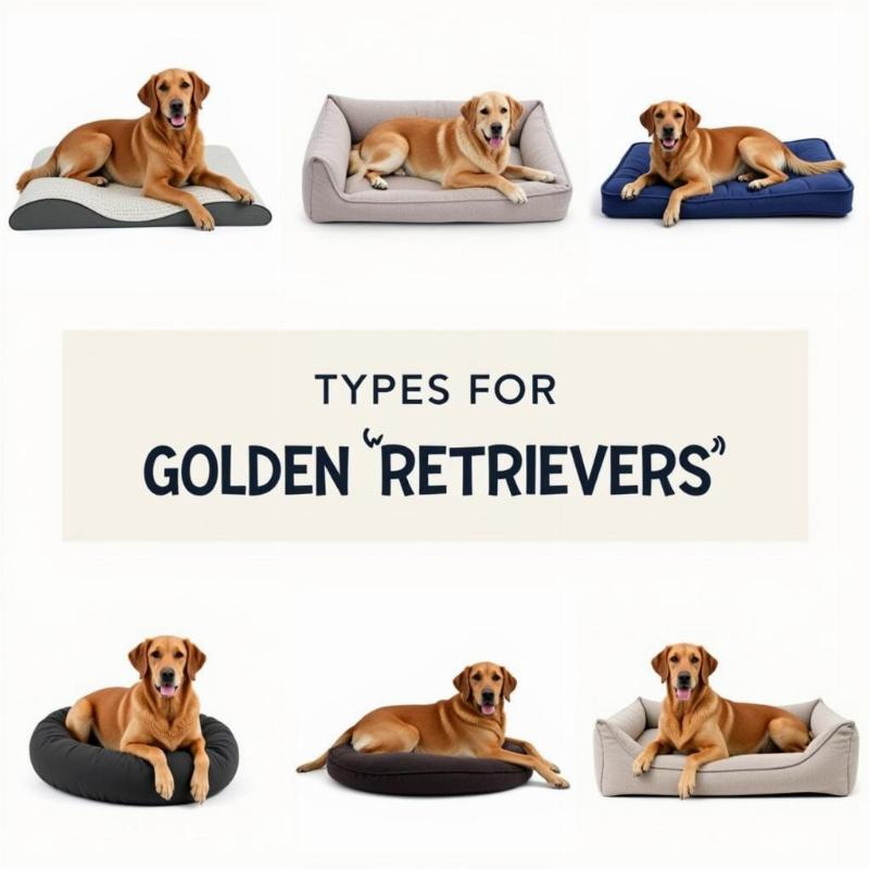 Types of dog beds for Golden Retrievers