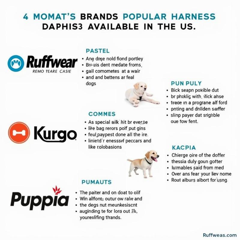 Popular Harness Brands and Styles