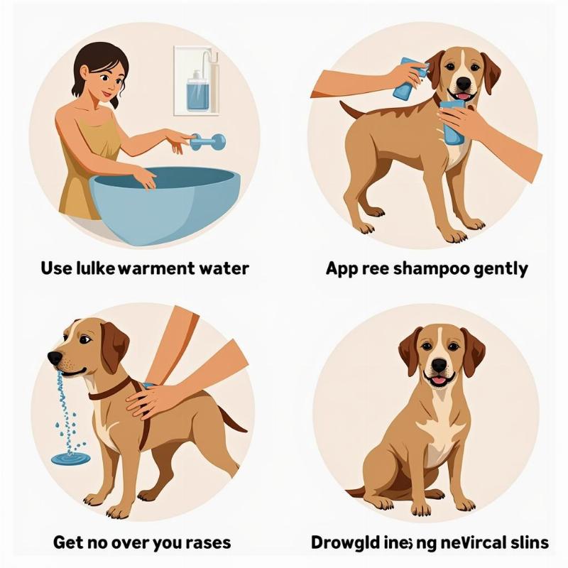 How to bathe a dog with sensitive skin