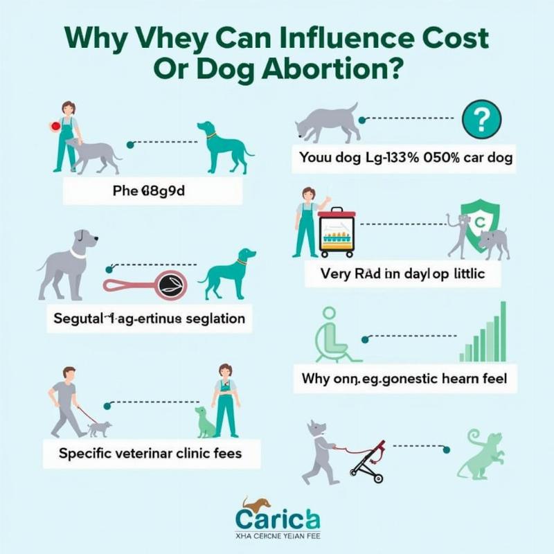 Cost Factors for Canine Pregnancy Termination