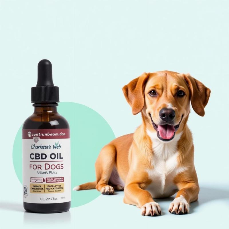 Charlotte's Web CBD Oil for Dogs