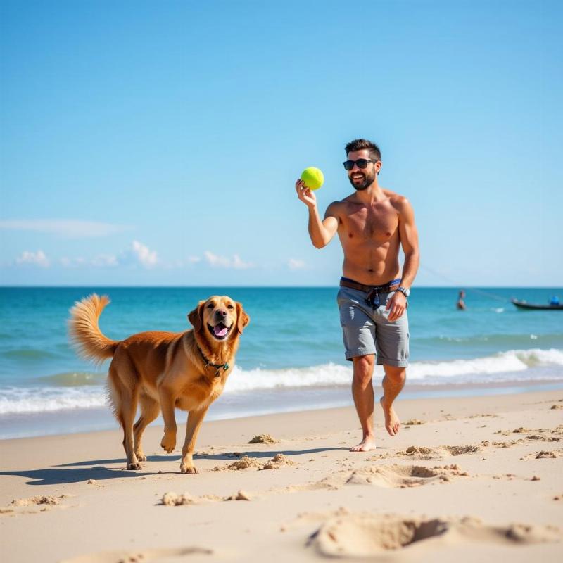 Dog playing fetch on a Lake Geneva beach