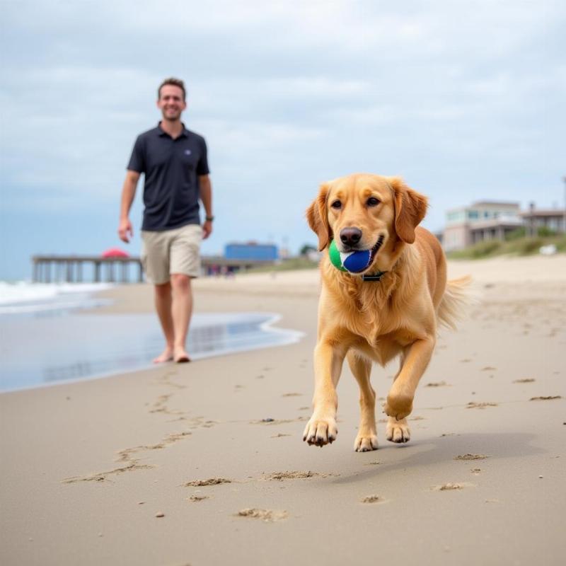 Dog and owner enjoying Ocean City, MD beach