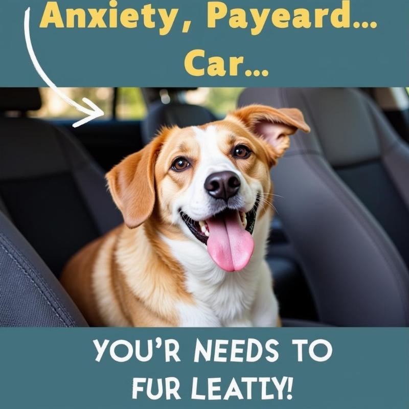 Dog experiencing anxiety in a car