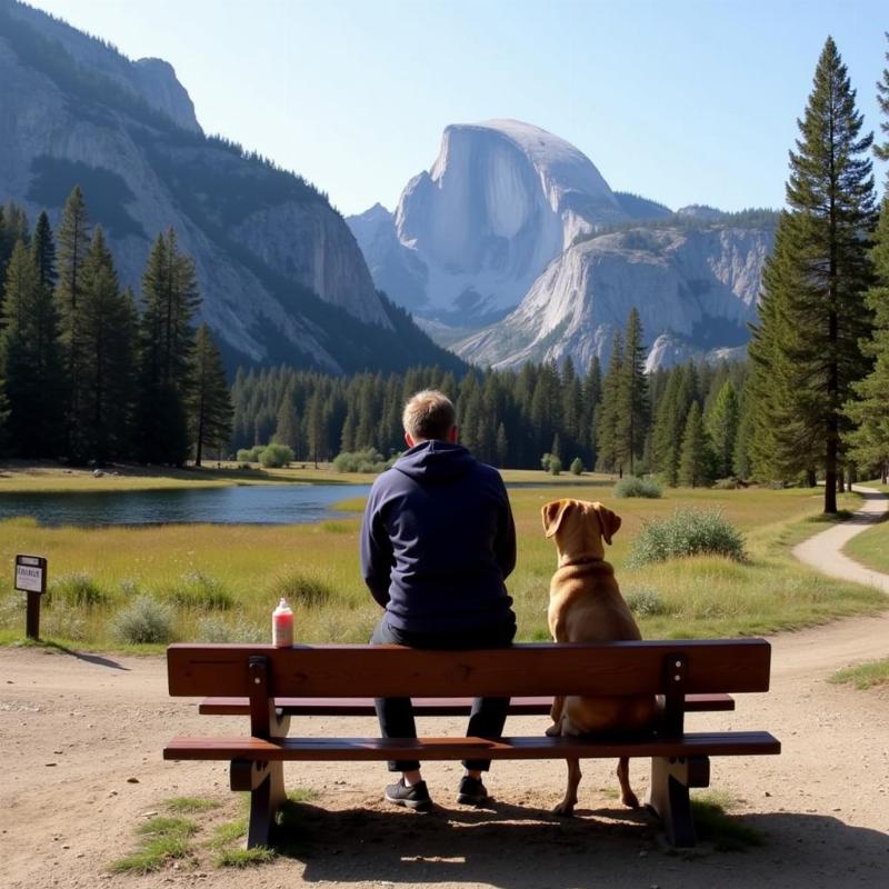 Dog sitting with owner at Yosemite National Park